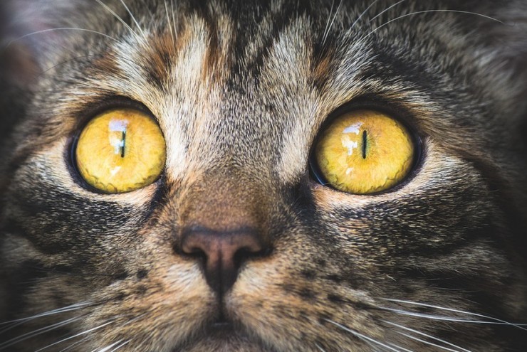 Đối tác tiết lộ thông tin "sốc" về ông Biden liên quan việc làm ăn của con trai ở TQ