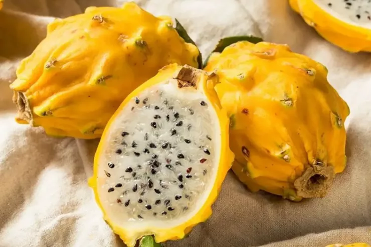 Loại quả đắt nhất thế giới, Việt Nam trồng đại trà 10 tháng cho thu hoạch, thành đặc sản nổi tiếng giá 300.000 đồng/kg - 2