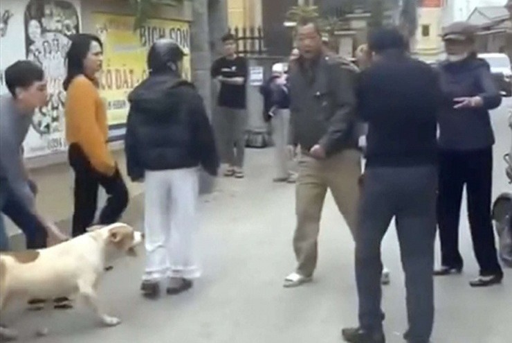 Người dân Hồng Vân (Hà Nội) kể lại giây phút chó nặng hơn 30kg lao vào cắn người phụ nữ