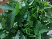 Loại rau dại biến thành đặc sản, những ai không nên ăn?