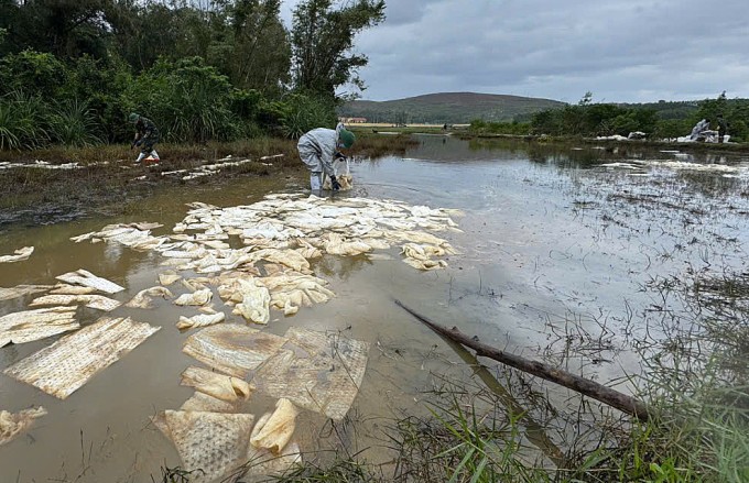 Váng dầu diesel nổi trên sông, lực lượng chức năng dùng giấy thấm để hút. Ảnh: Thạch Thảo