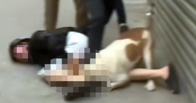 Nạn nhân kể phút kinh hoàng bị bố con hàng xóm ...