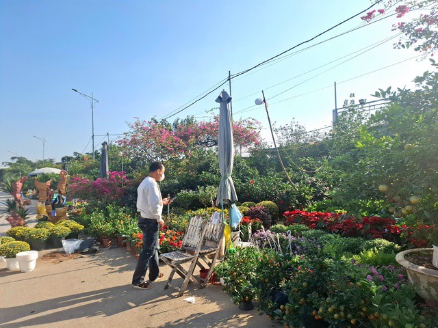 Nhiều người đi mua cây cảnh về trưng Tết từ sớm. Ảnh: Quỳnh Mai.