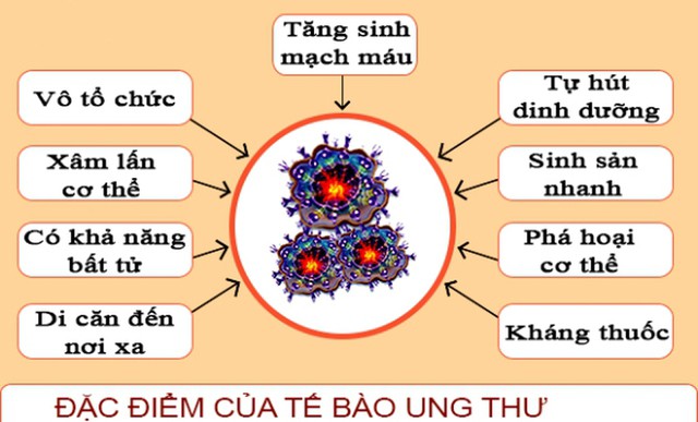 Tế bào ung thư khởi phát trong cơ thể như thế nào? Hiểu đúng để phòng bệnh đúng cách - 1
