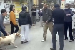 Người dân Hồng Vân (Hà Nội) kể lại giây phút chó nặng hơn 30kg lao vào cắn người phụ nữ