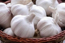 10 bài thuốc chữa bệnh từ củ tỏi