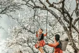 Việt Nam lọt top điểm đến mùa đông lý tưởng nhất