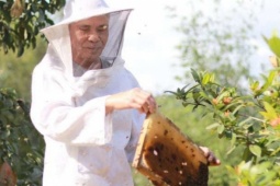 Nuôi"con dễ nổi khùng" này kiểu "thiện xạ" ở xã mới của Hà Tĩnh hóa ra là một nông dân khiếm thị, cả làng phục lăn