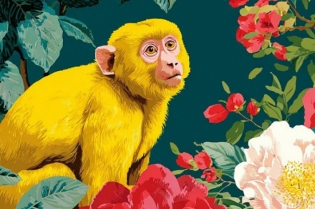 Tử vi 12 con giáp năm Bính Ngọ: Tổng quan tuổi Thân năm 2026