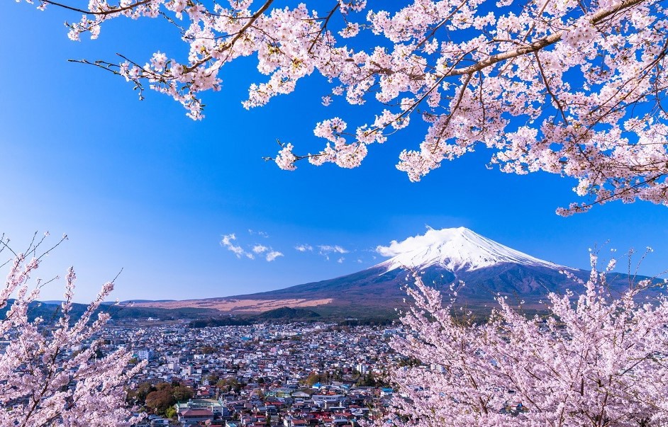 JNTO và Hanoitourist - bùng nổ chiến dịch hoa anh đào, du lịch Nhật Bản có nhiều điểm mới - 1