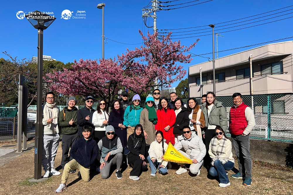 JNTO và Hanoitourist - bùng nổ chiến dịch hoa anh đào, du lịch Nhật Bản có nhiều điểm mới - 6