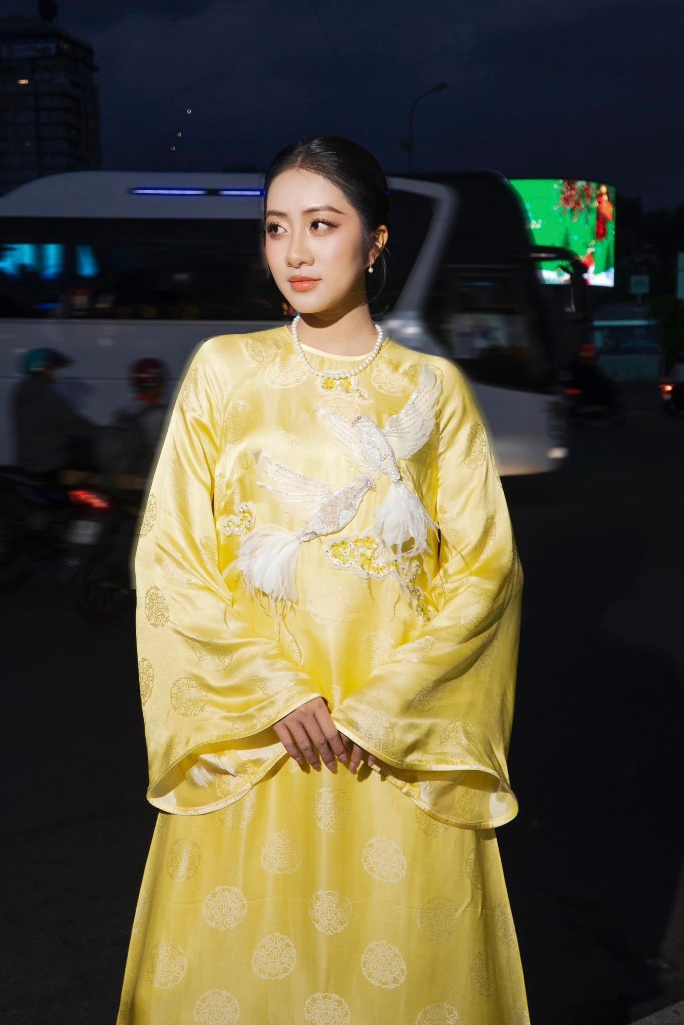 Hoa hậu Hà Trúc Linh diện áo dài với họa tiết ý nghĩa tại các sự kiện cuối năm - 5