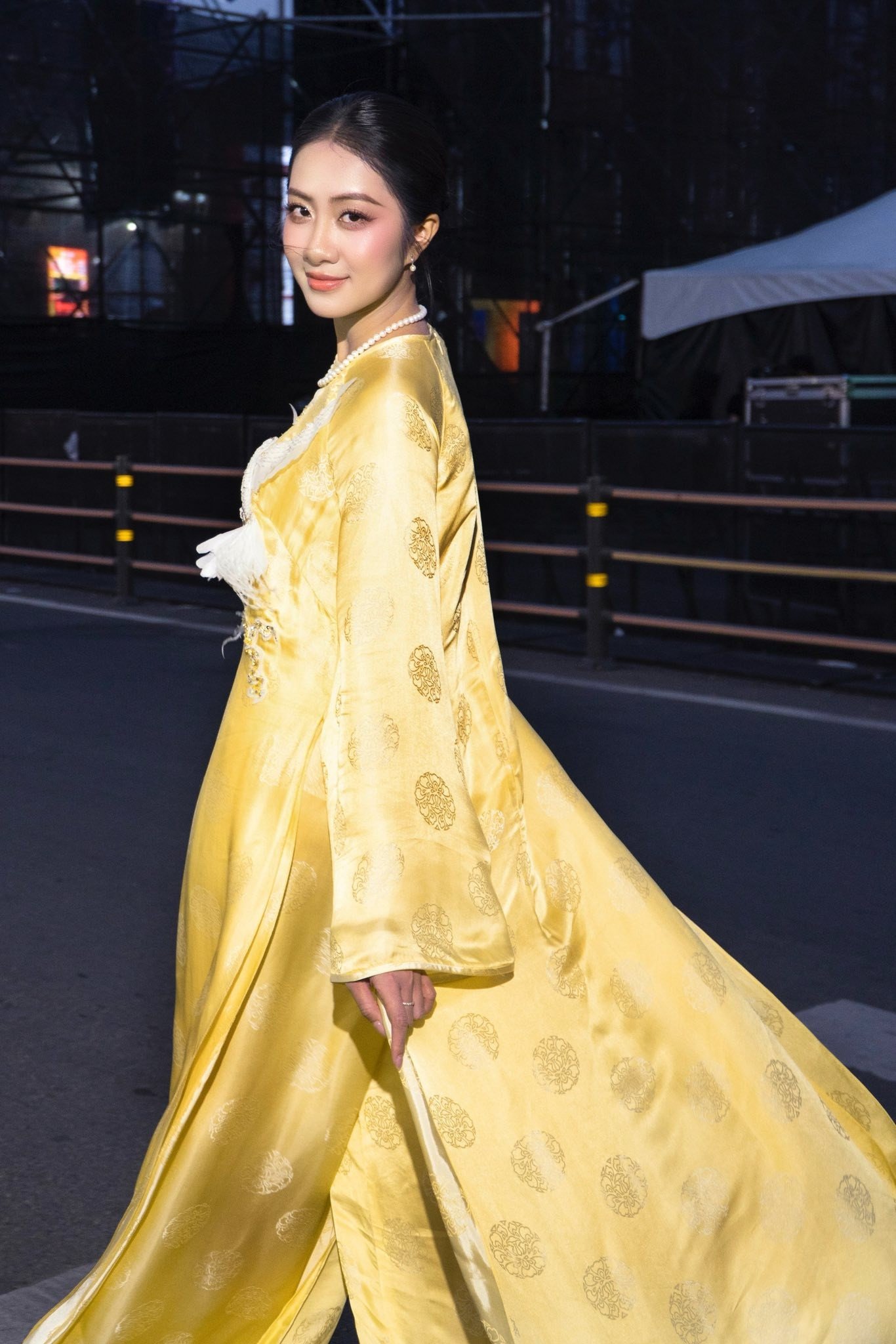 Hoa hậu Hà Trúc Linh diện áo dài với họa tiết ý nghĩa tại các sự kiện cuối năm - 6