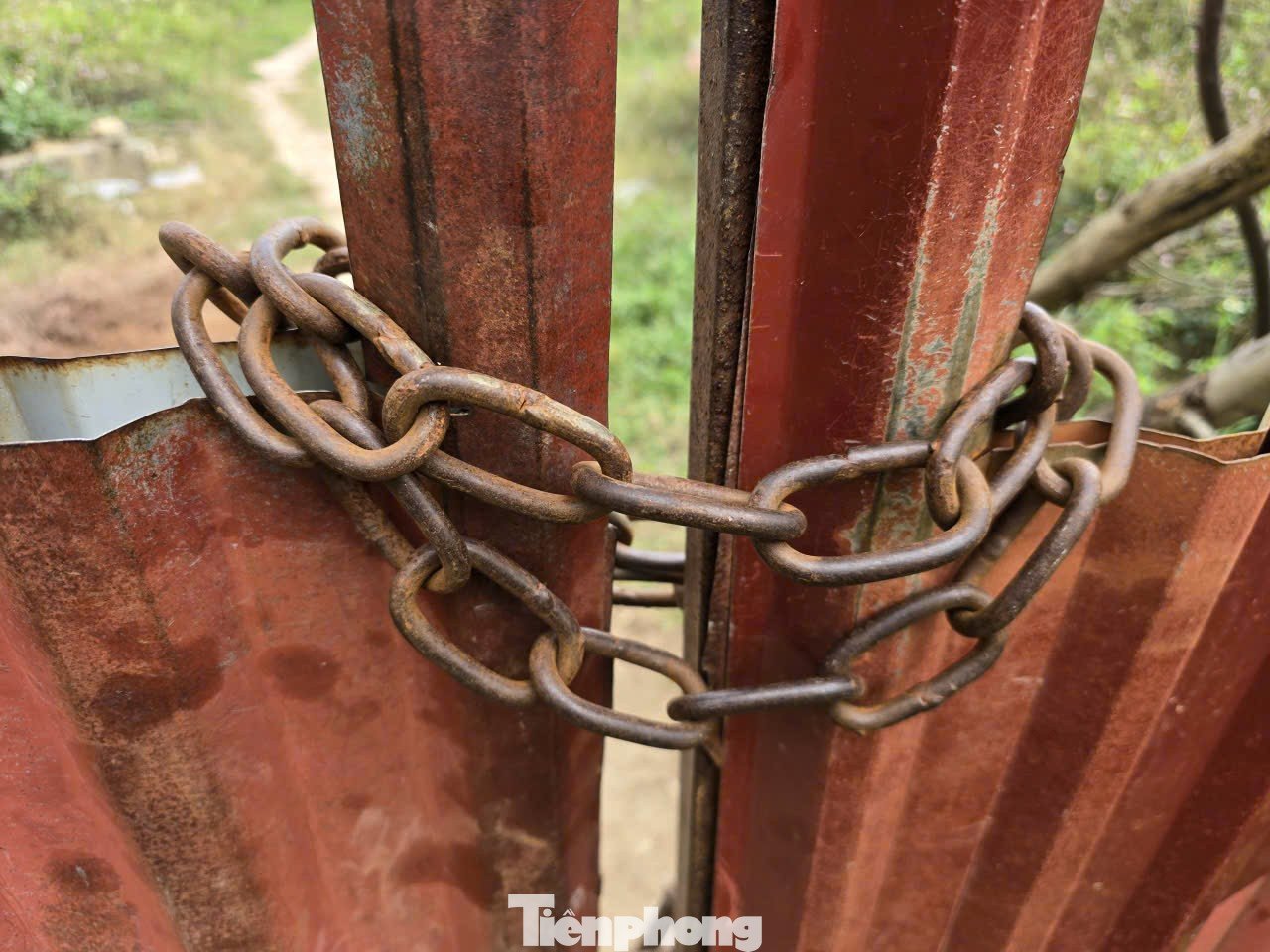 Xót xa hai ngôi trường khang trang bỏ hoang nhiều năm ở Hà Nội - 5