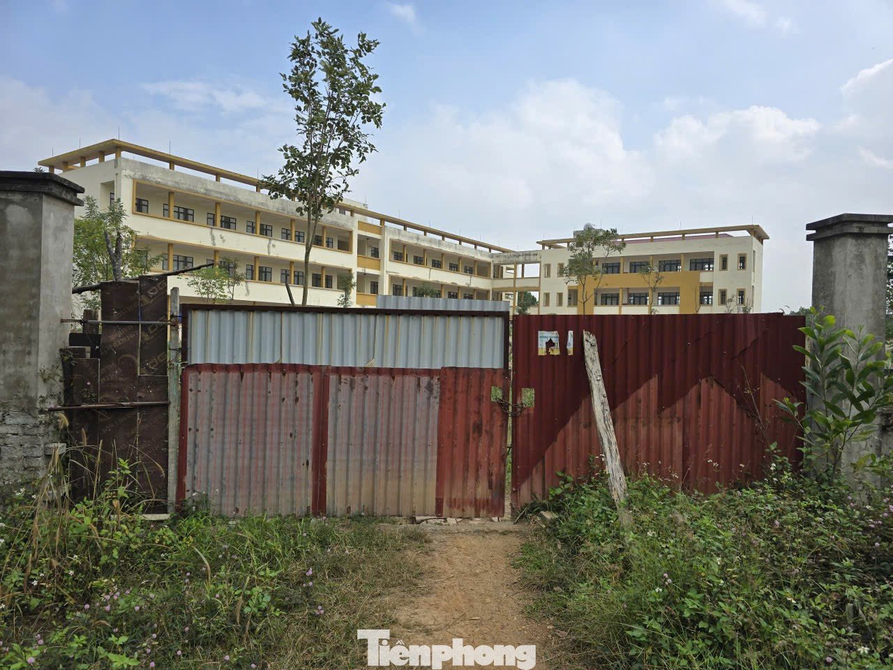 Xót xa hai ngôi trường khang trang bỏ hoang nhiều năm ở Hà Nội - 4