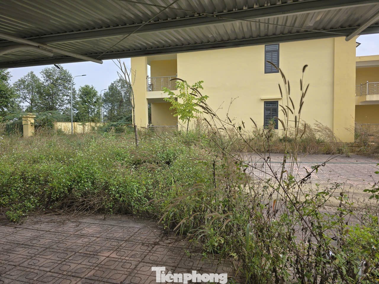 Xót xa hai ngôi trường khang trang bỏ hoang nhiều năm ở Hà Nội - 12