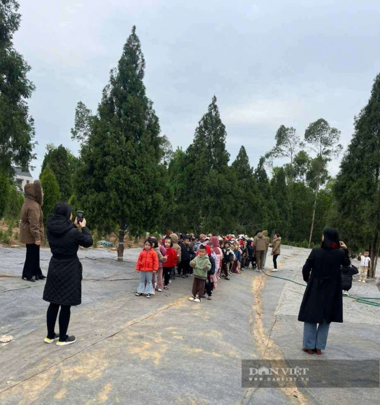 Nhà vườn đã phối hợp với các Trường học trên địa bàn để đưa thế hệ trẻ đến tham quan và tìm hiểu về cây hoàng đàn Hữu Liê