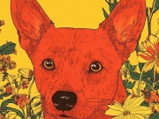 Tử vi 12 con giáp năm Bính Ngọ: Tổng quan vận mệnh tuổi Tuất 2026