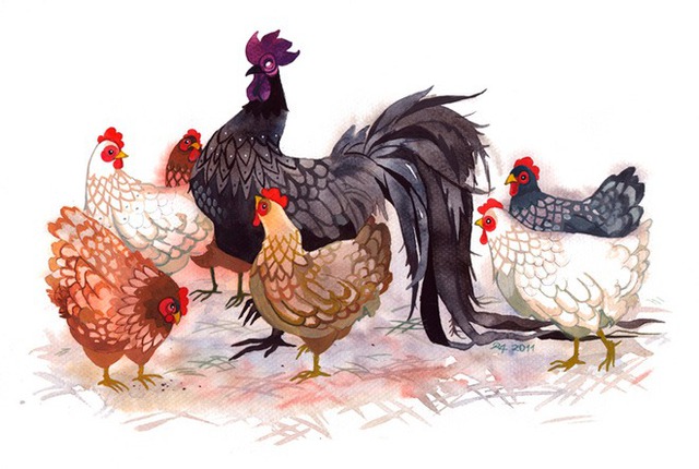 Để giữ gìn hạnh phúc, tuổi Dậu cần học cách lắng nghe, đặt mình vào vị trí của đối phương. Ảnh minh họa