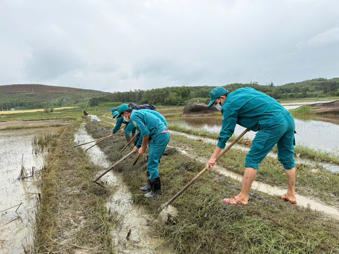 Khắc phục sự cố tràn dầu ở xã Vạn Tường, tỉnh Quảng Ngãi