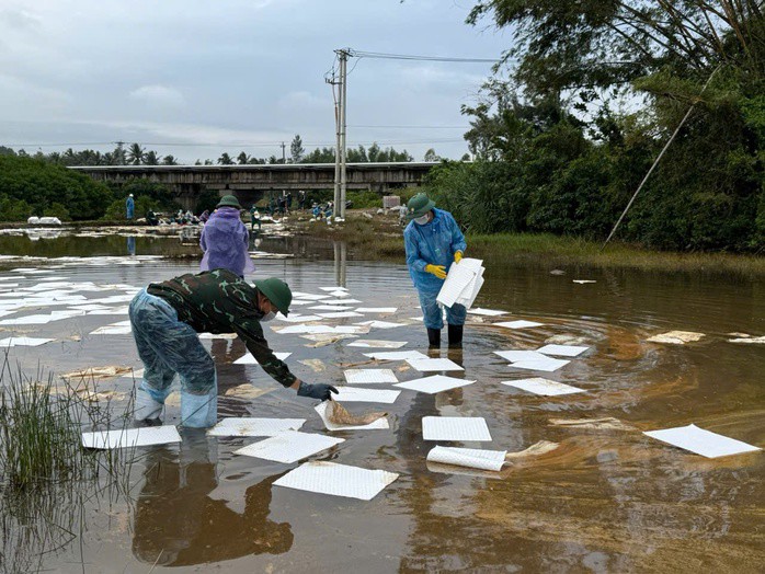 Các đơn vị liên quan dùng giấy thấm thu gom dầu loang
