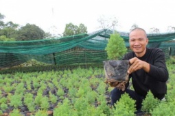 Trồng la liệt thứ cây "bí mật" quý hiếm, chả biết sau có ăn thua, mà giờ nhà anh nông dân Lạng Sơn người ta đến xem