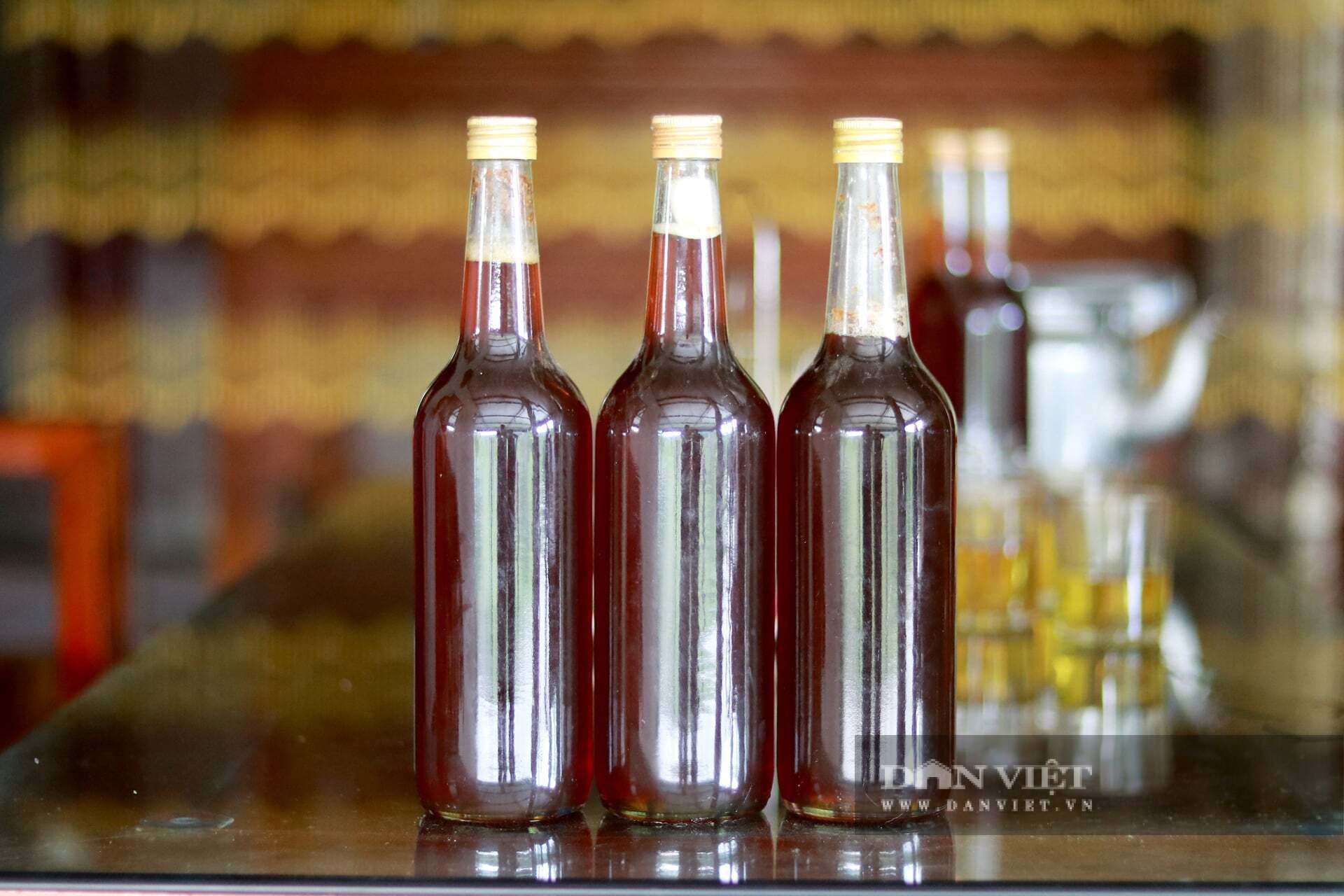 Nhờ công việc nuôi ong, ông Học có thể duy trì cuộc sống và trang trải chi phí điều trị bệnh cho vợ. Ảnh: PV