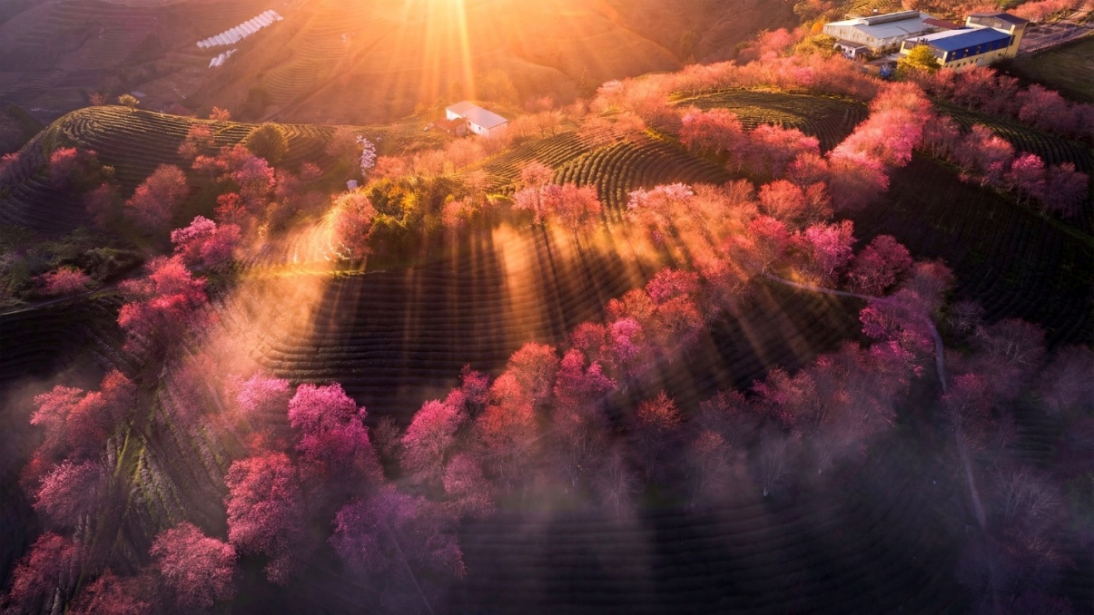 Ảnh: Hoàng Trung Hiếu