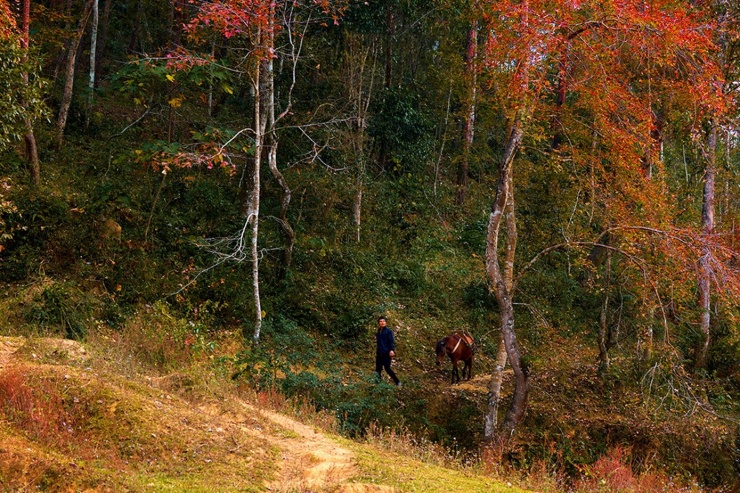 "Tôi là người địa phương yêu thích thiên nhiên và đam mê chụp ảnh, ảnh phong cảnh là nguồn say mê lớn của tôi. Mỗi năm đến độ đông về tôi hay chụp lại cảnh sắc tại hồ Bản Viết như để ngưng đọng lại thời gian đẹp của hồ lúc giao mùa", nhiếp ảnh chia sẻ.
