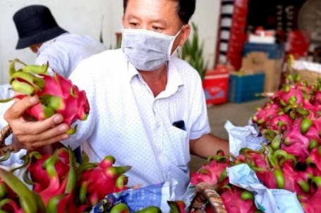 Loại thanh long 've chai' bất ngờ tăng giá chưa từng thấy, nông dân Tây Ninh (gồm cả Long An) có thêm tiền Tết