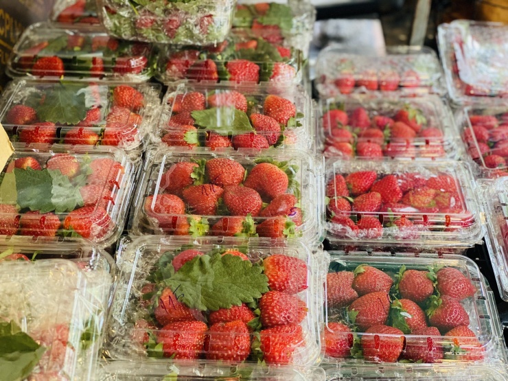 Dâu tây Mộc Châu đầu mùa đang được bày bán tràn ngập thị trường với mức giá tương đối cao.