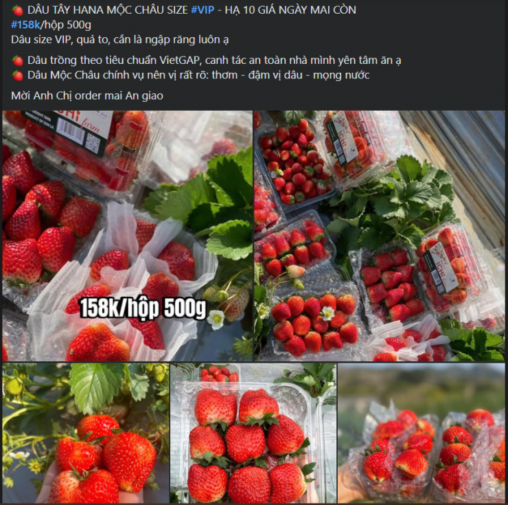 Tùy vào kích thước của dâu tây sẽ có các mức giá khác nhau.