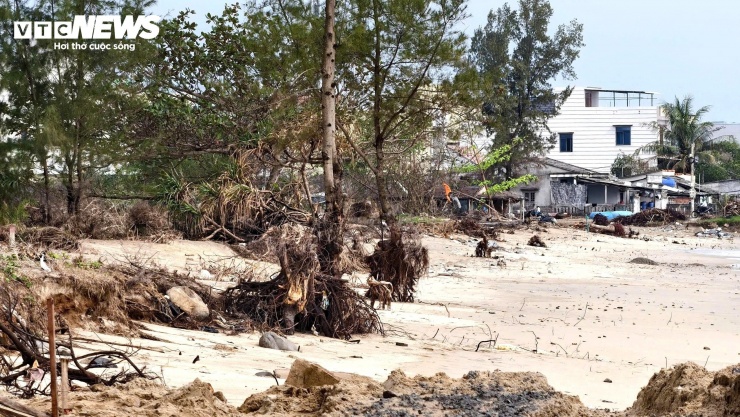 “Đối với khu vực sạt lở nghiêm trọng, nơi nước biển tràn vào nhà dân gần thôn An Kỳ và An Vĩnh, địa phương đã đề xuất phương án xây dựng kè để bảo vệ khu dân cư. Riêng khu vực bãi biển Mỹ Khê, xã cũng kiến nghị giải pháp lâu dài nhằm khắc phục tình trạng xâm thực ngày càng lấn sâu, vừa bảo đảm an toàn cho người dân, vừa phục vụ phát triển sinh hoạt, du lịch cộng đồng”, ông Vương cho biết.