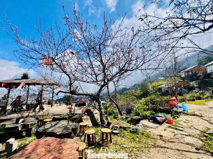 'Mái nhà chênh vênh' ở Tà Xùa thành điểm check-in độc nhất vô nhị - 8