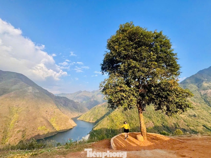 'Mái nhà chênh vênh' ở Tà Xùa thành điểm check-in độc nhất vô nhị - 15