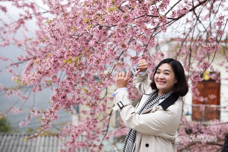 Chị Ngọc Lương (Hà Nội) cho biết, điều đọng lại không chỉ là ảnh đẹp mà là cảm giác “chạm” vào mùa xuân của sương núi và những cành hoa rủ ngay trước cổng đồn biên phòng. “Tưởng chỉ có đá và gió, ai ngờ lại cất sẵn một khoảng dịu dàng”, chị nói.