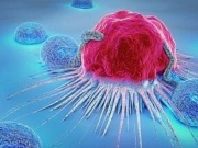 Tế bào ung thư 'sợ' gì nhất trong mâm cơm nhà bạn: 3 loại rau đang bán rẻ đầy chợ, người Việt nên ăn nhiều hơn