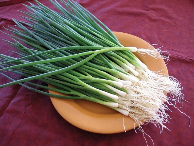 Hành lá vừa là gia vị vừa vị thuốc quý trong mùa đông.