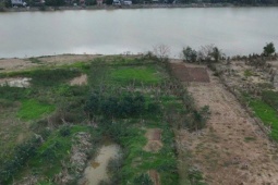 Xác xơ những khu vườn trồng đặc sản 'tiến vua' ở Huế sau lũ