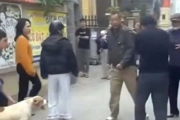 Những vụ thả chó tấn công người gây rúng động, có người lĩnh án 10 năm tù