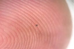 Robot tự hành siêu tí hon, biết "nhảy múa" để giao tiếp