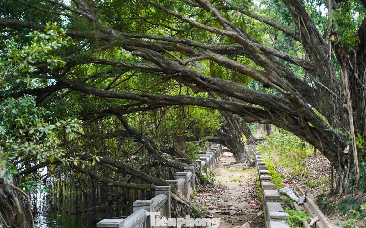 Ngôi đền cổ giữa lòng Hà Nội thành điểm check-in 'bí mật' của giới trẻ - 9