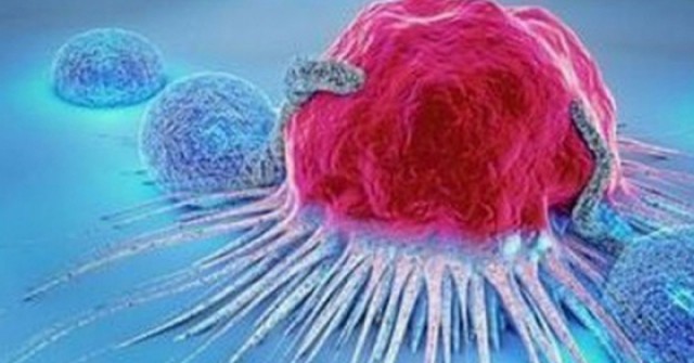 Tế bào ung thư "sợ" gì nhất trong mâm cơm nhà bạn: 3 loại rau đang bán rẻ đầy chợ, người Việt nên ăn nhiều hơn