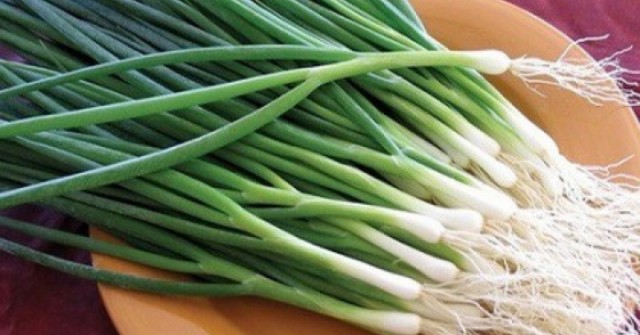 Hành lá – gia vị, vị thuốc quý của mùa đông