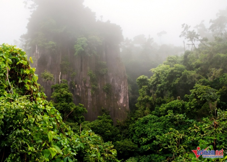 Trên hành trình trinh phục đỉnh Mây Bạc du khách sẽ được trải nghiệm và hòa mình vào thiên nhiên. Ảnh: CP