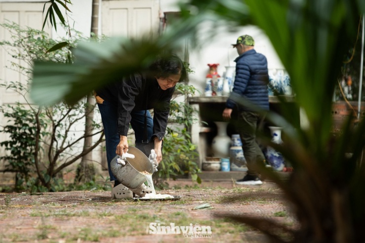 Sự thật về ‘đảo mèo’ nằm giữa hồ Bảy Mẫu, công viên Thống Nhất - 15