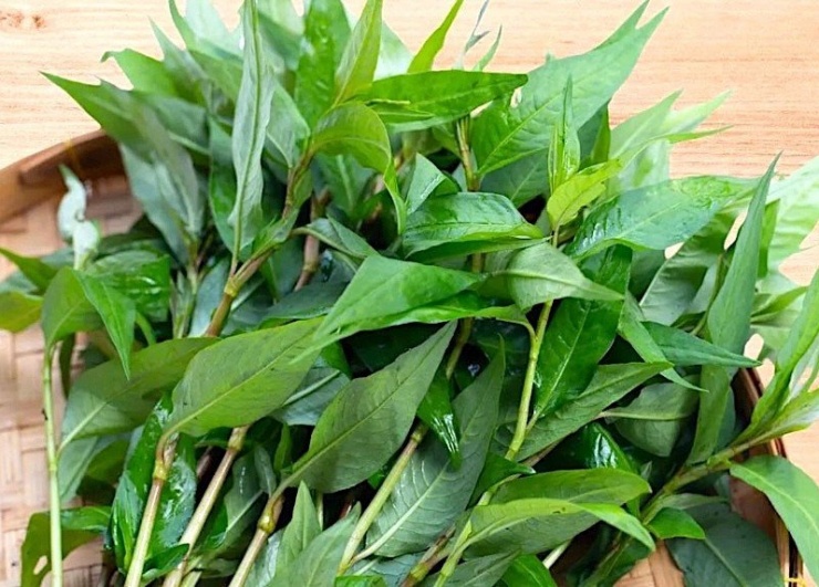 Bất ngờ với công dụng của 'loại rau gia vị' thường dùng trong bữa ăn - 2
