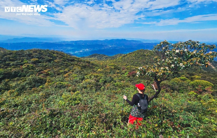 Hành trình chinh phục Voi Mẹp không hề ít thử thách, bởi người leo núi cần phải vượt qua đỉnh Pa Thiên cao khoảng 1.625m trước khi chạm đến đích.
