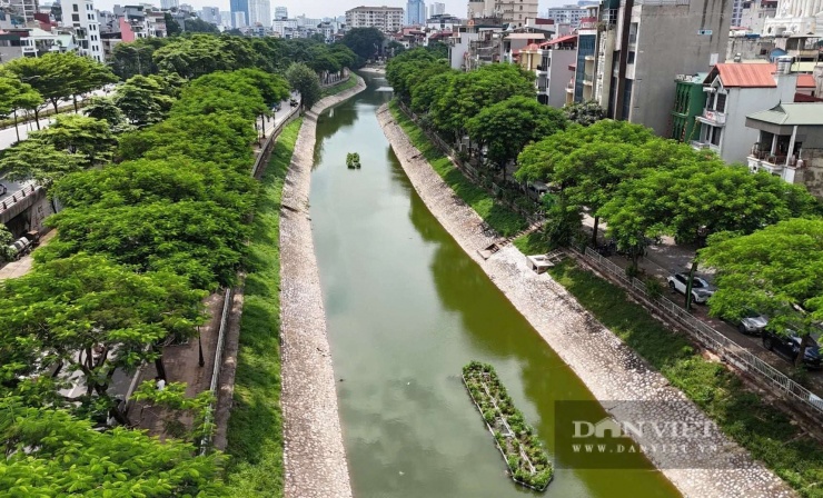 Sông Tô Lịch (Hà Nội). Ảnh: Sông Bùi