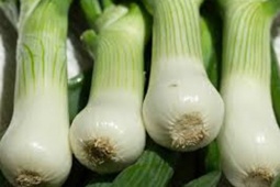 Tin tức sức khỏe - 3 điều người bị trào ngược dạ dày gây nghẹn họng, đầy bụng nhất định phải biết